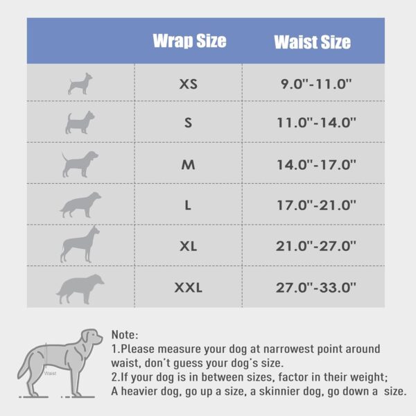 AMAZON Limited time deal -47% ON Wegreeco Washable Male Dog Belly Band (Stylish Pattern) - Image 3