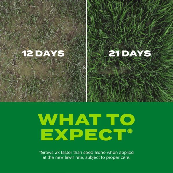 AMAZON Limited time deal -46% ON  Scotts Turf Builder Rapid Grass Sun & Shade Mix - Image 3