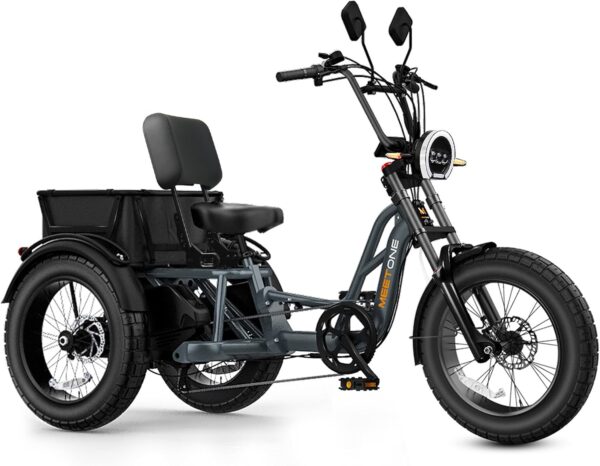 AMAZON Tour 2400W Dual Motor Electric Tricycle for Adults