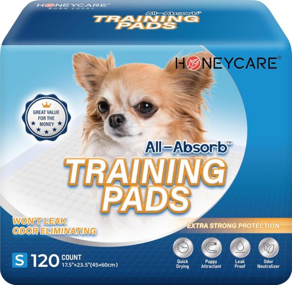 AMAZON Limited time deal -20% ON  Honey Care All-Absorb